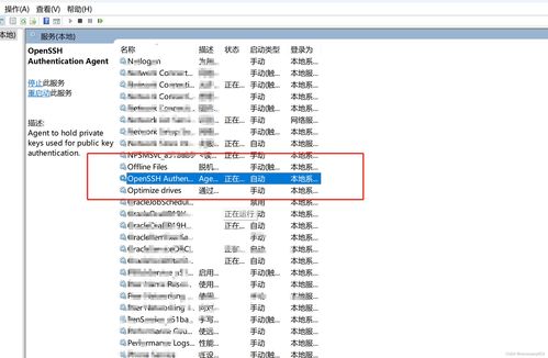 linuxip那个文件,linux配置ip的文件路径